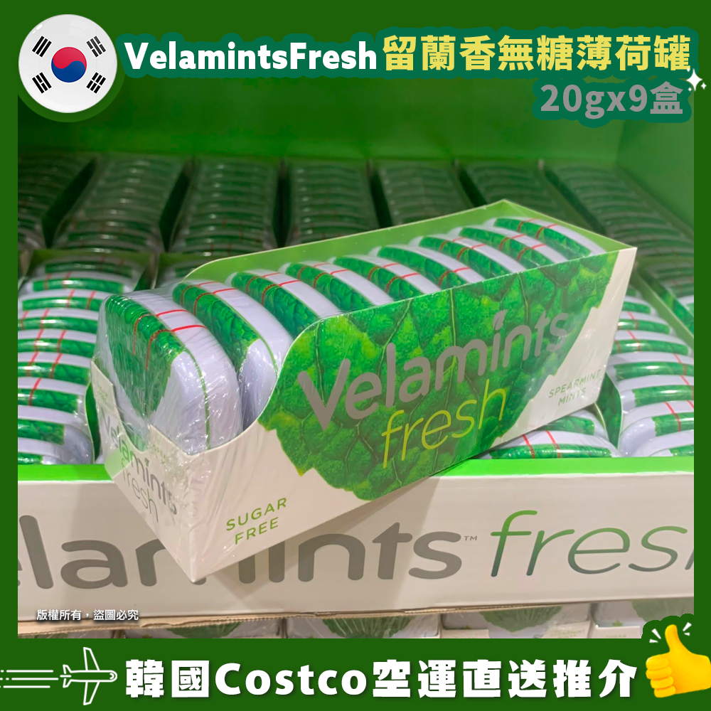 【韓國空運直送】Velamints Fresh Sugar Free Mints Spearmint Mints 新鮮留蘭香無糖薄荷罐 180g